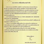 KT Pearl Night Cream 10gm